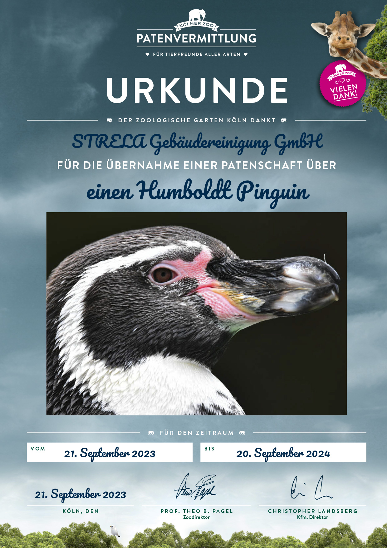 Patenbrief Humboldt-Pinguine